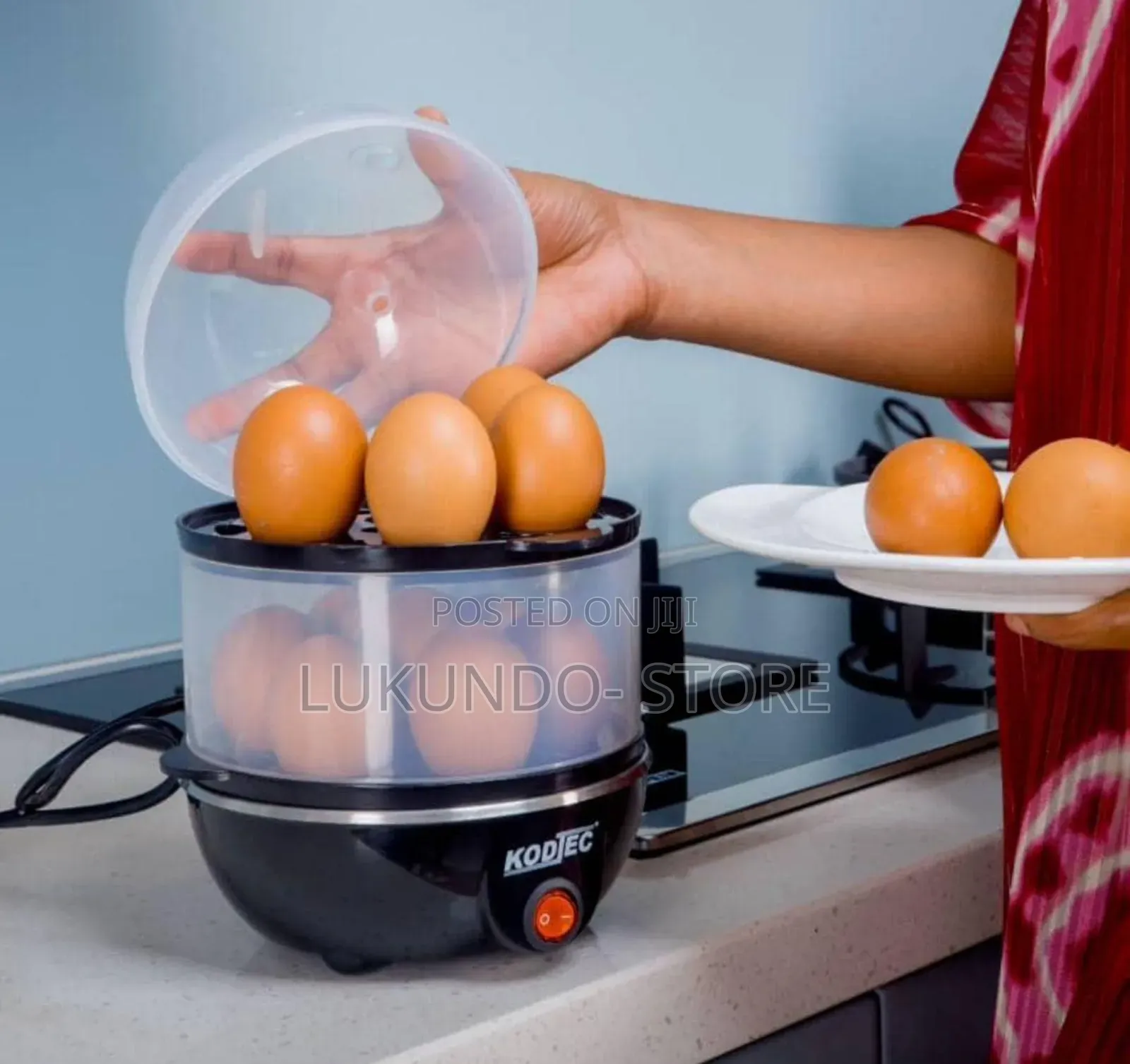 Electric Egg Cooker( Boiler)