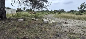 Yard for Rent at Kerege Bagamoyo (Eneo Linapangishwa Kerege)