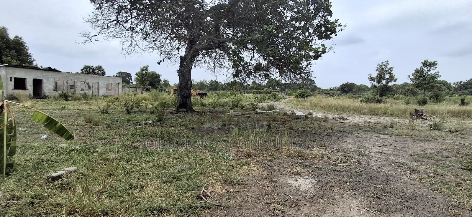 Yard for Rent at Kerege Bagamoyo (Eneo Linapangishwa Kerege)