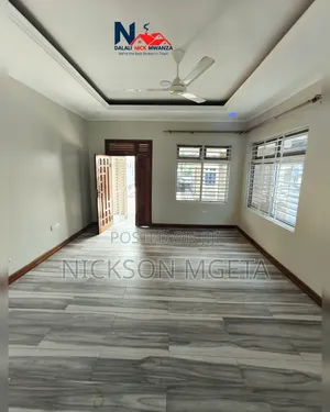 2bdrm Apartment in Dalali_Nick_Mwanza, Ilemela for rent