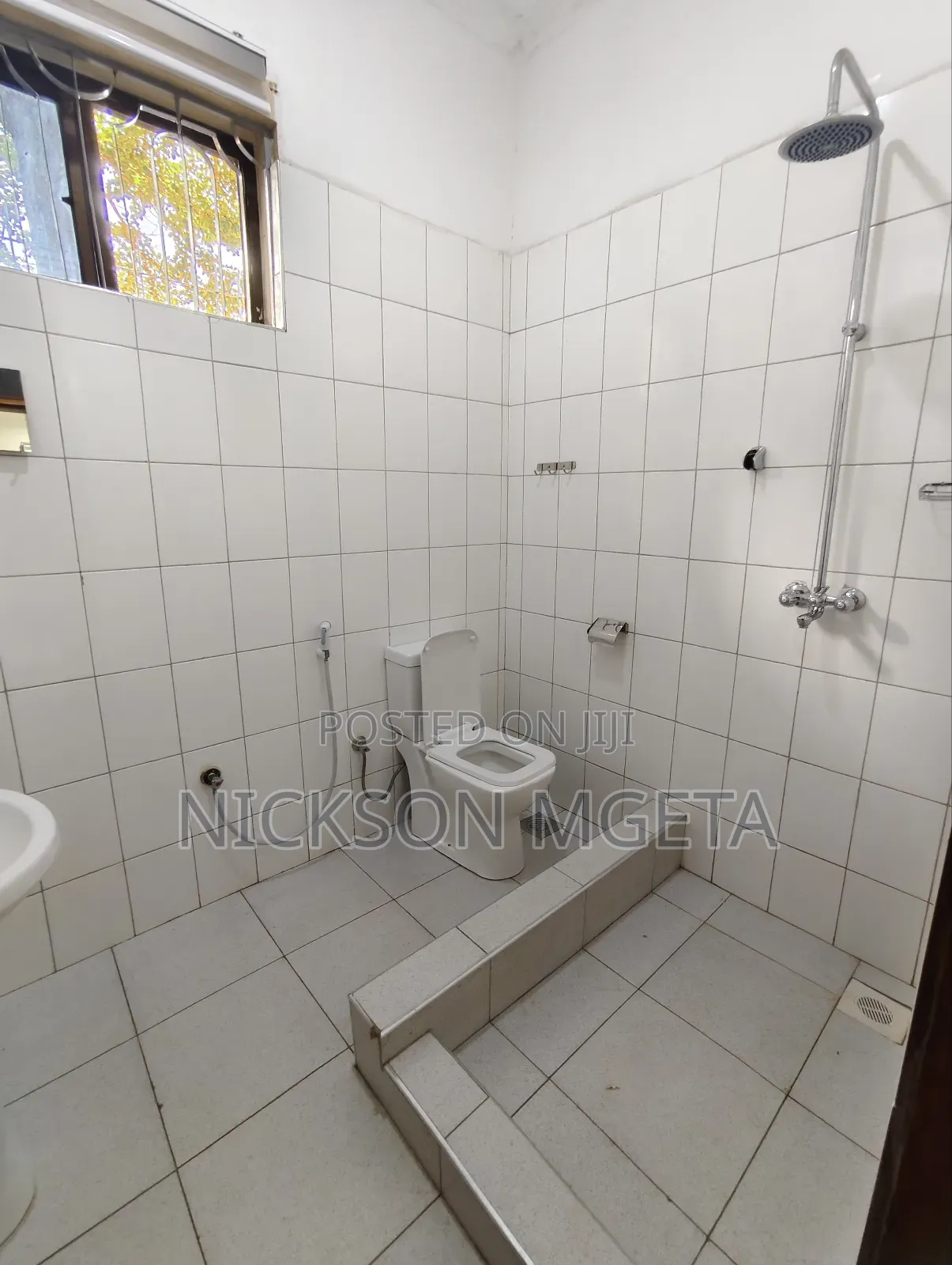2bdrm Apartment in Dalali_Nick_Mwanza, Ilemela for rent