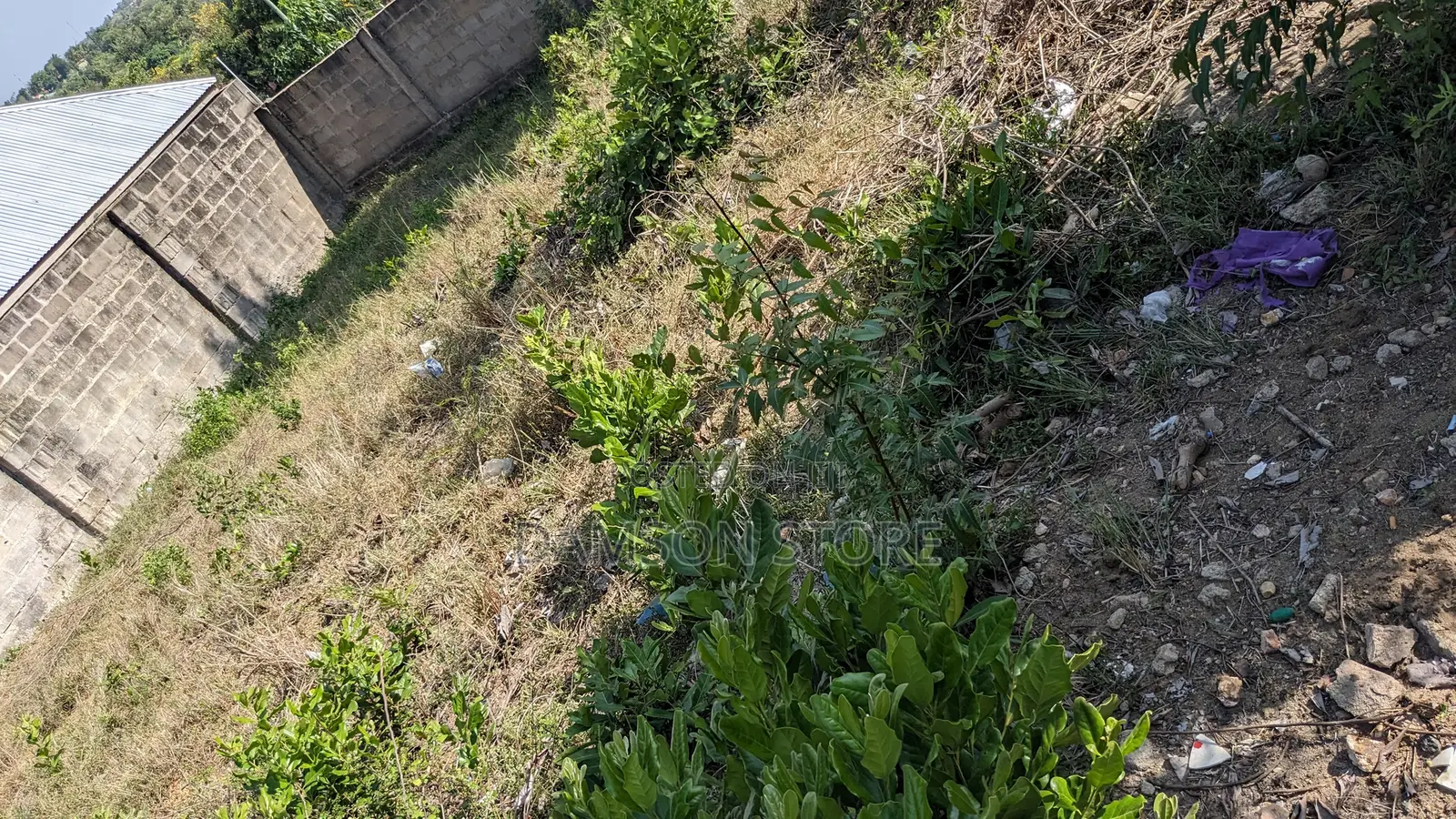 Nyumba Na Kiwanja Kina Uzwa