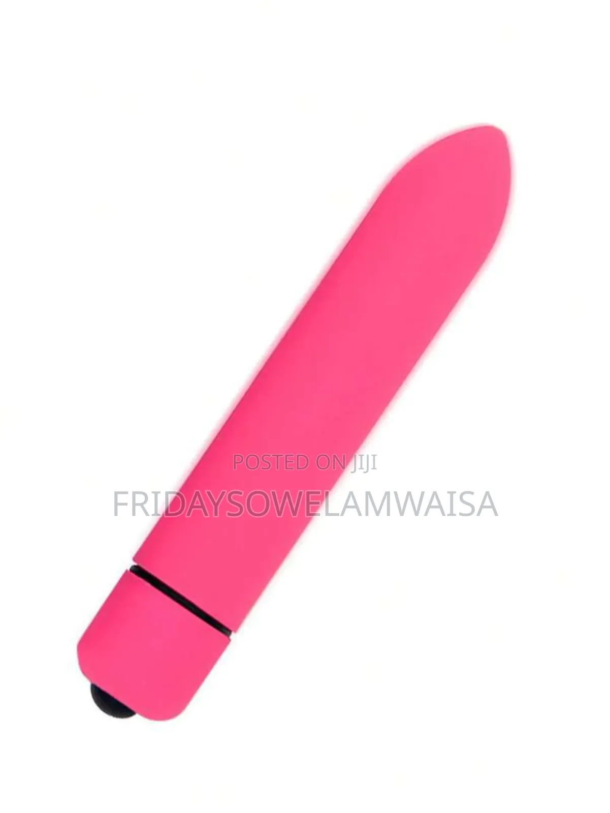 Lovense Mini Vibrator