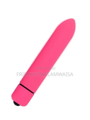 Lovense Mini Vibrator