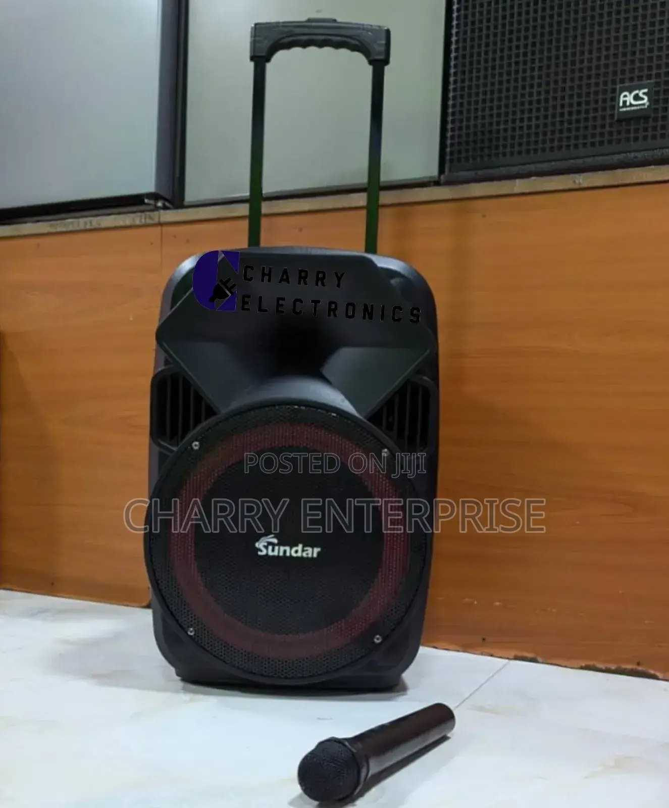 Sundar Portable Rechargeable Speaker Imara 10 Inch With Stand and Mic