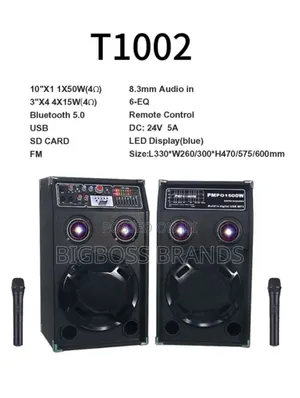 Stage Speaker T1002 With 2 Microphones 1500W