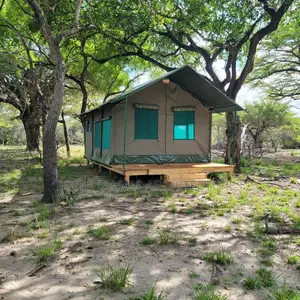 Camping Tent With Wood Platform