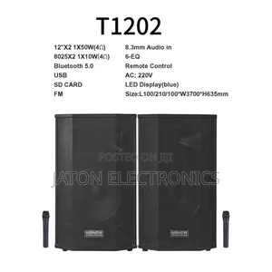 Stage Speaker T1202 With 2 Microphone