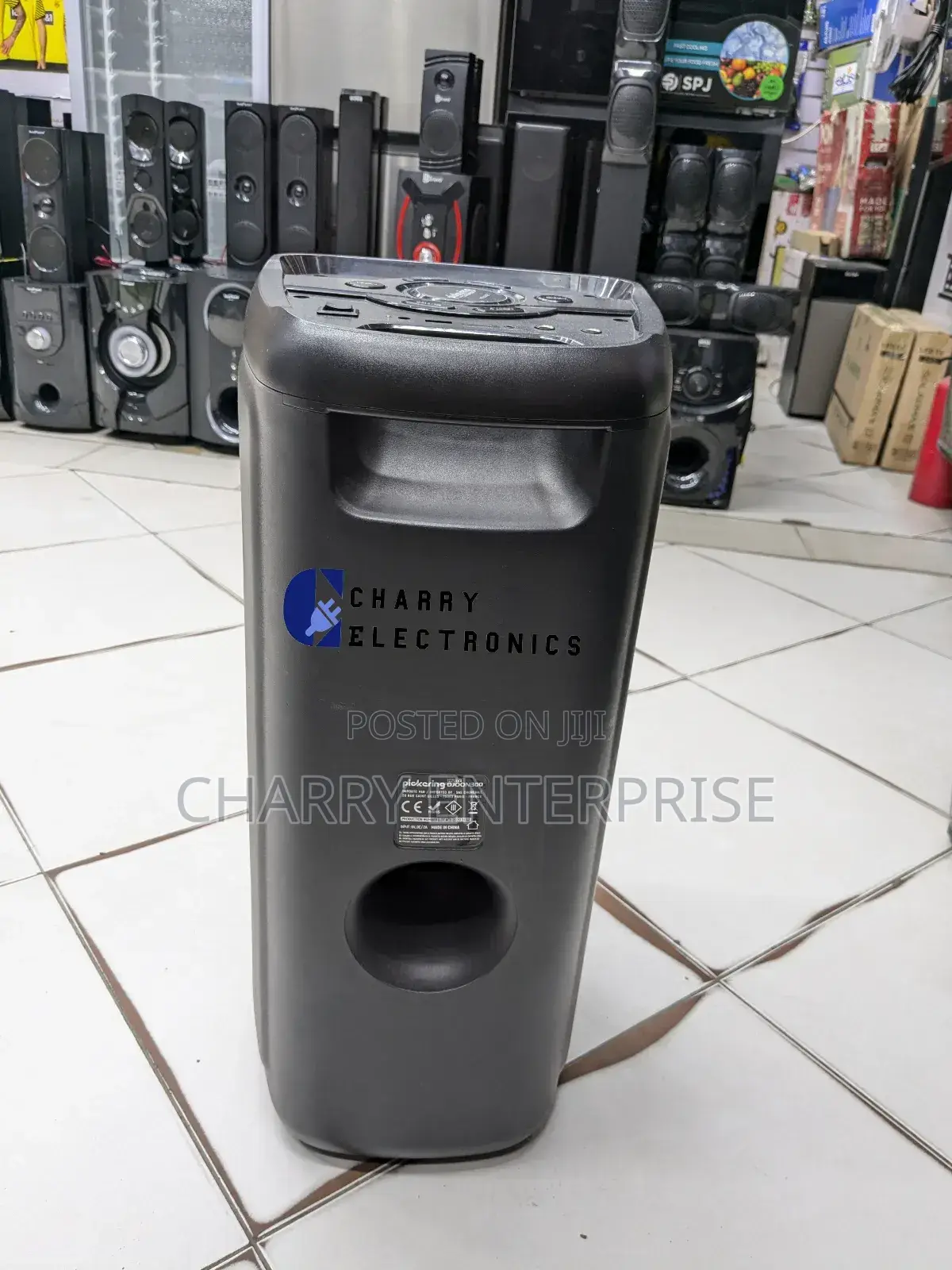 Pickering Portable Karaoke Rechargeable Speaker DJOON300