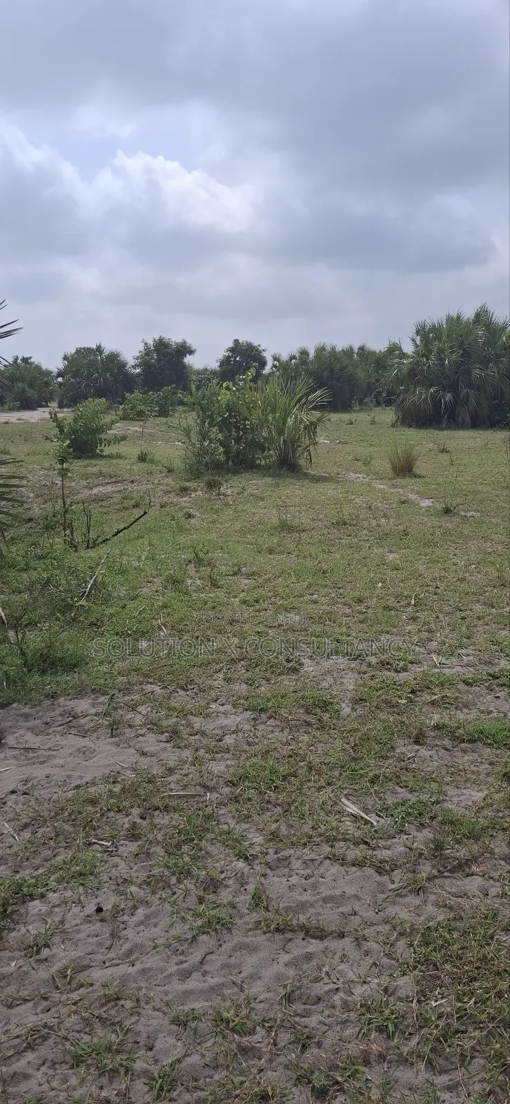 Eneo Linauzwa Mataya Bagamoyo