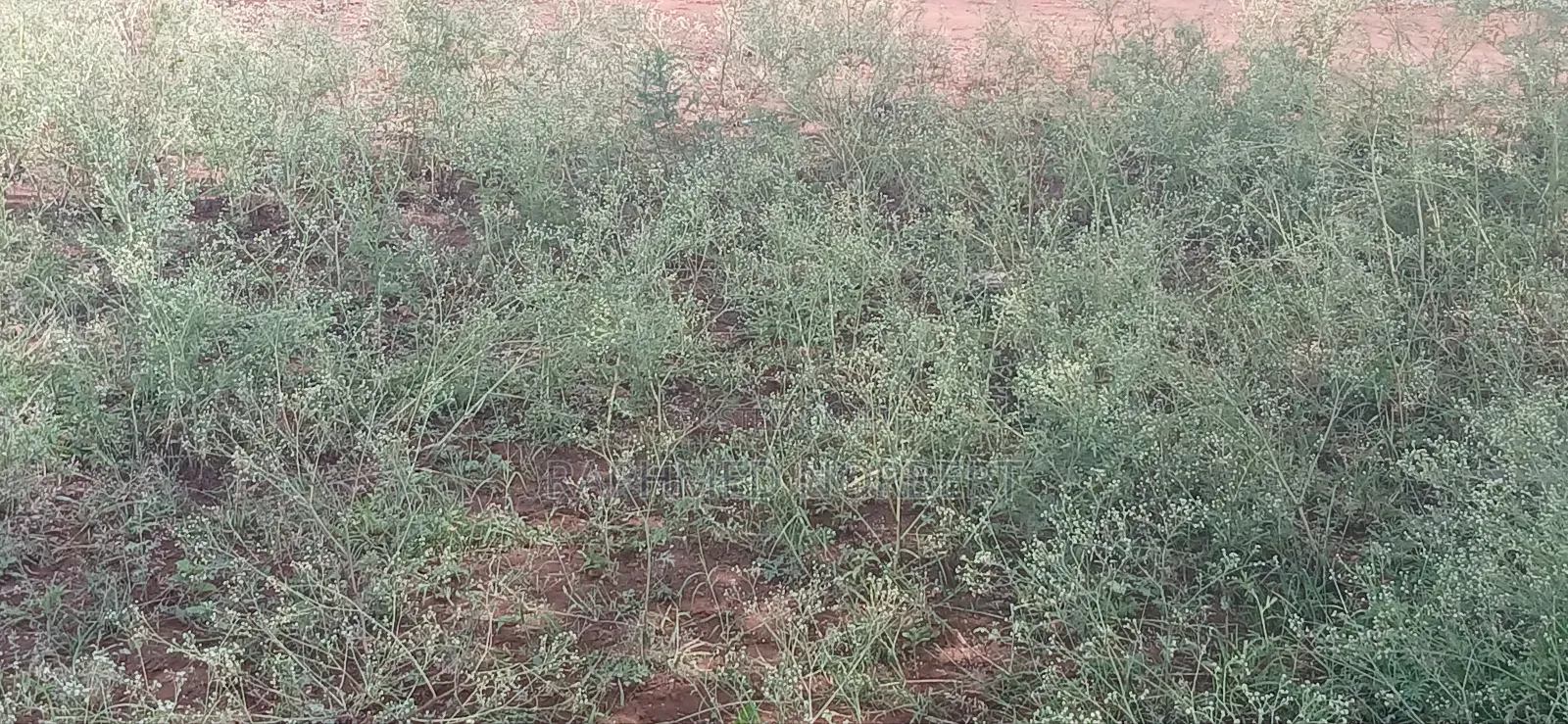 Plot for Sale in Njiro-Aromic at Arusha-Tanzania