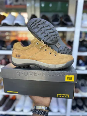 Low Cut Caterpillar Shoes