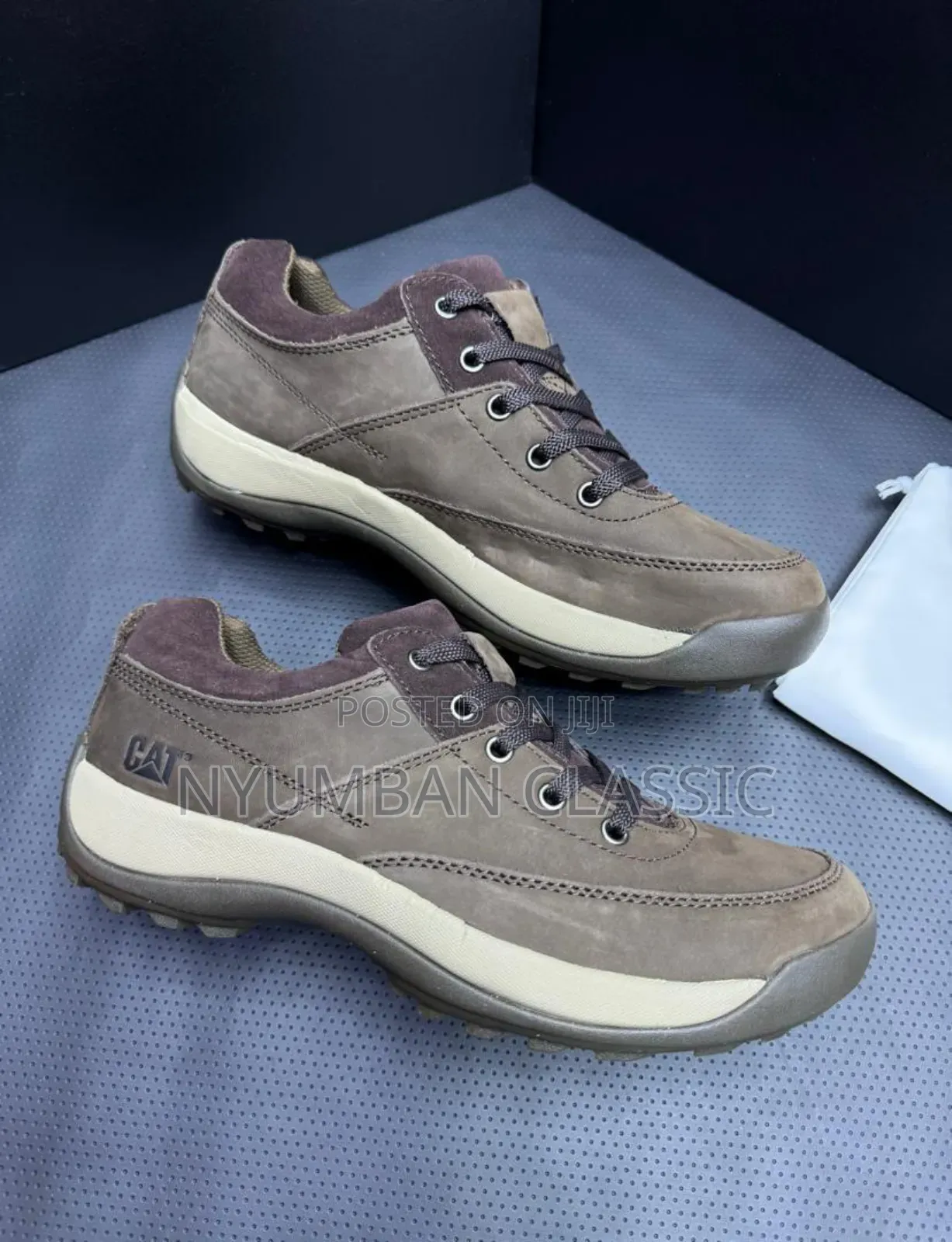 Low Cut Caterpillar Shoes