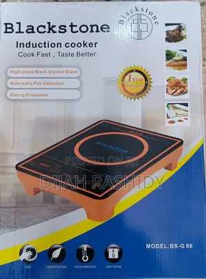 Blackstone Induction Cooker