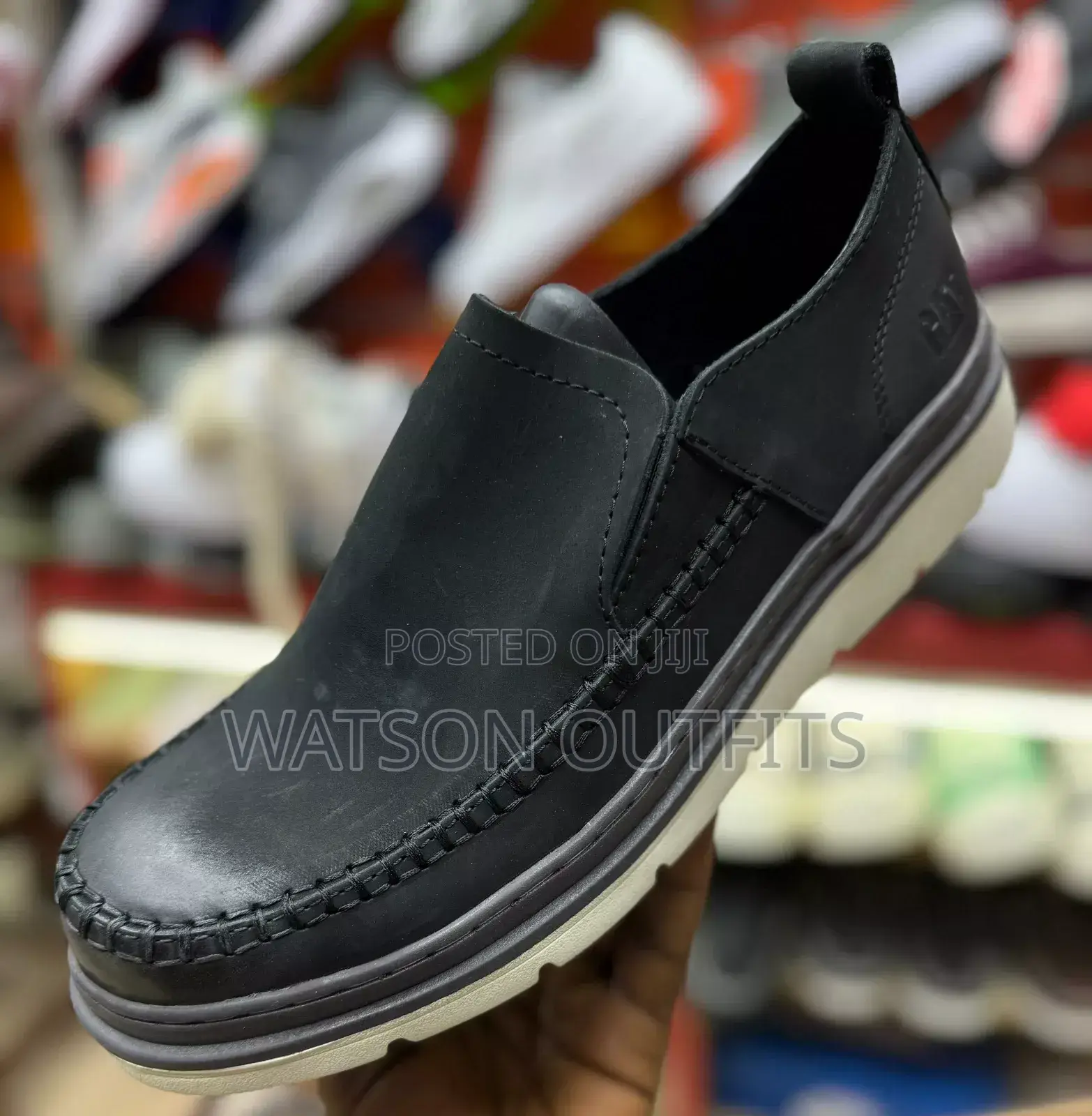 New Low Cat Zisizo Na Kamba