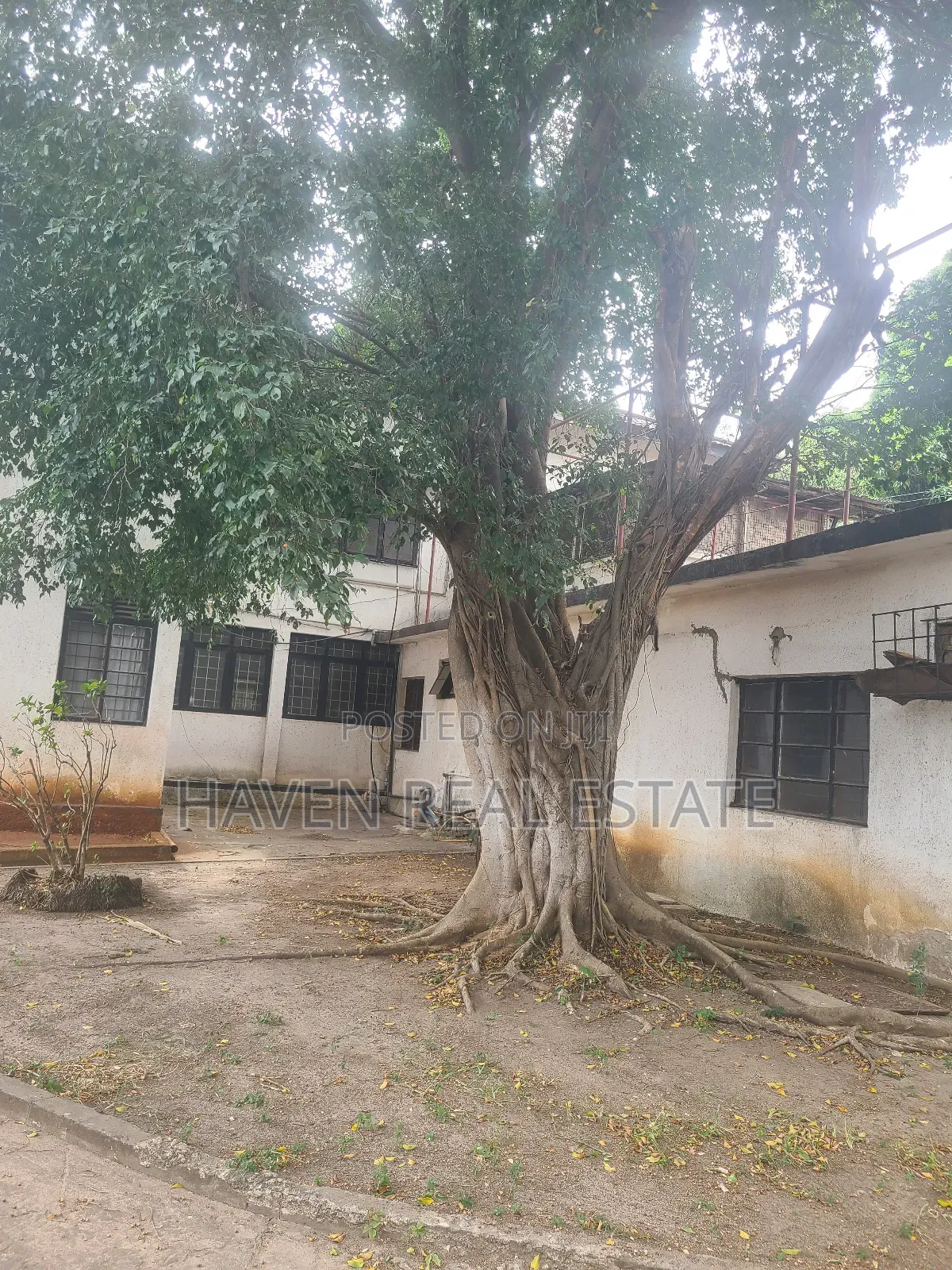10bdrm House in Mikocheni for sale