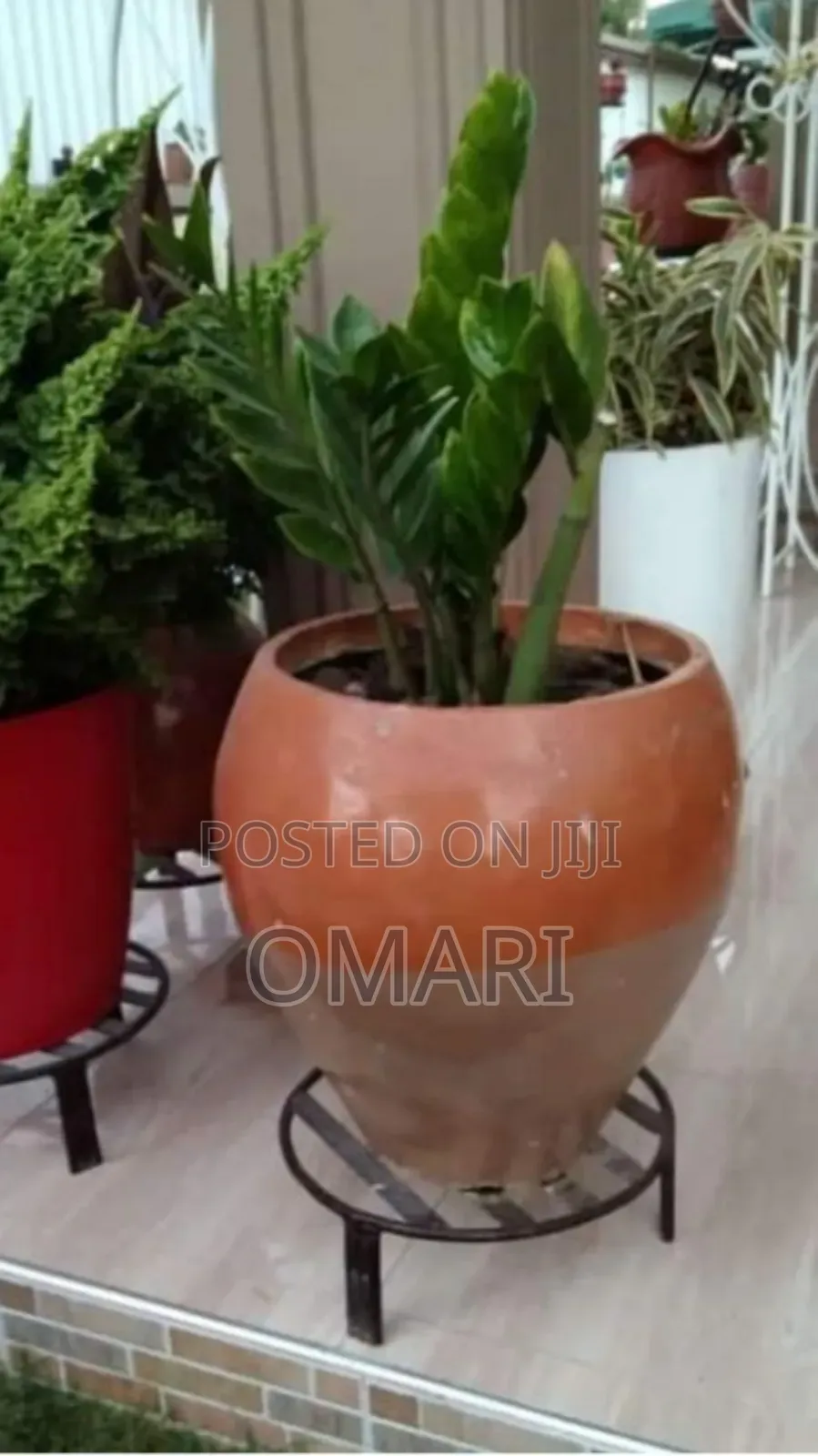 Round Flower Pots