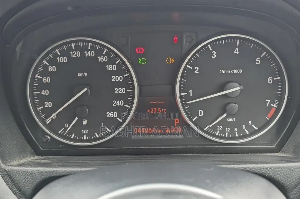 BMW 3 Series 320i RWD 2010 Pearl