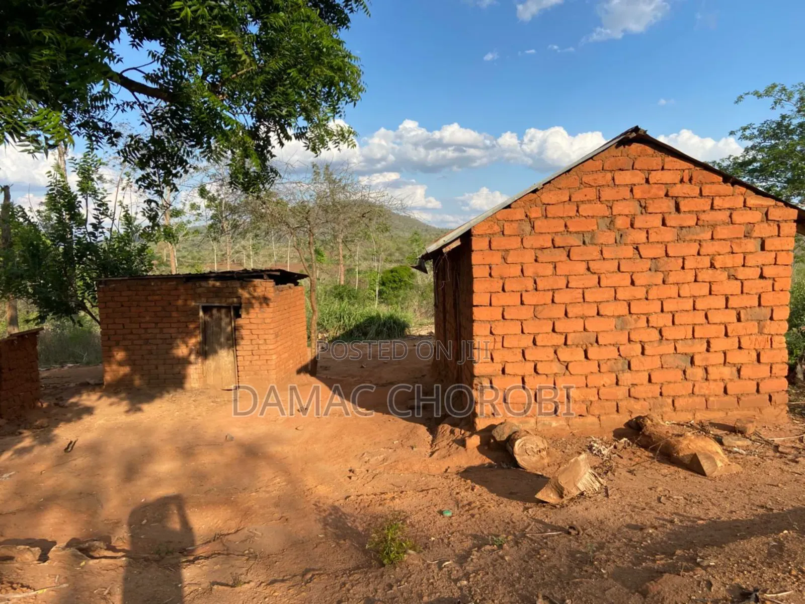 Shamba Acre 100