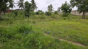 Photo - Plot for Sale CQMT 1500