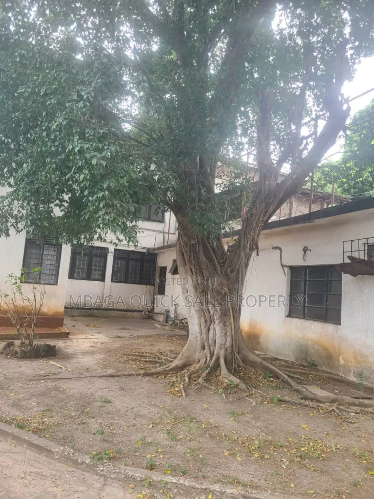 4bdrm House in Regent Estate, Mikocheni for sale