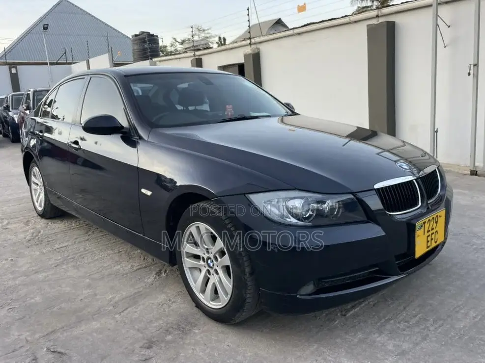 BMW 3 Series 320i RWD 2007 Blue
