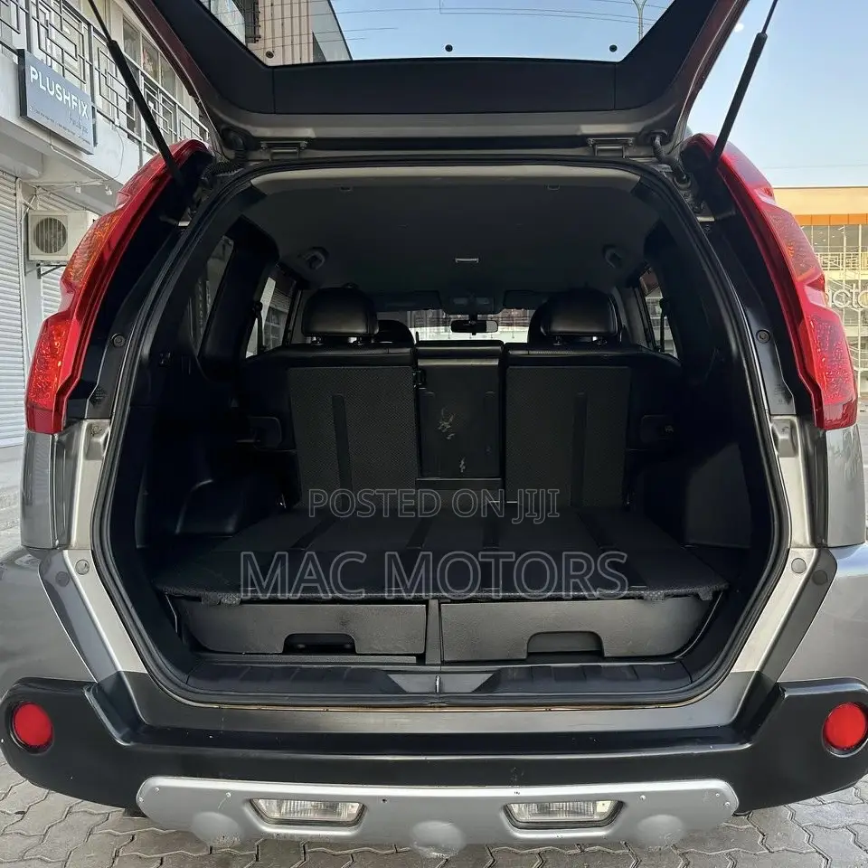 Nissan X-Trail 2.0 2007 Gray