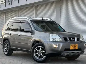 Nissan X-Trail 2.0 2007 Gray