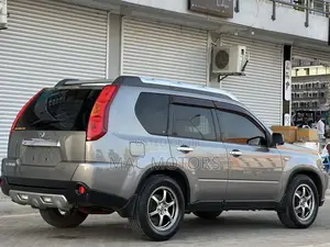 Nissan X-Trail 2.0 2007 Gray