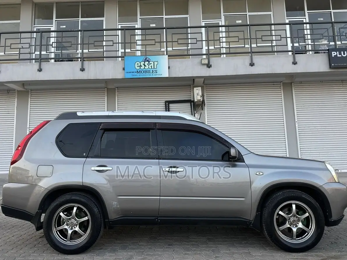 Nissan X-Trail 2.0 2007 Gray