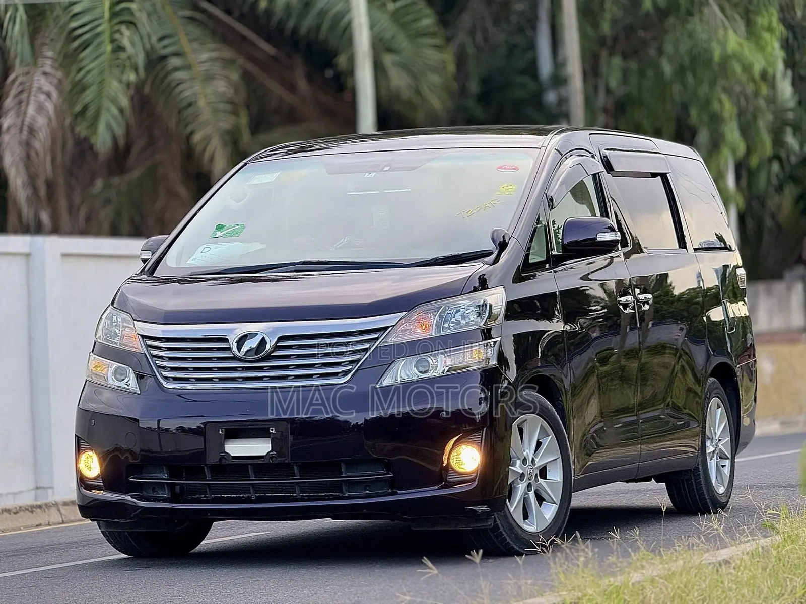 Toyota Vellfire 2009 Purple
