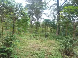 Land for Sale Burka Arusha Tanzania