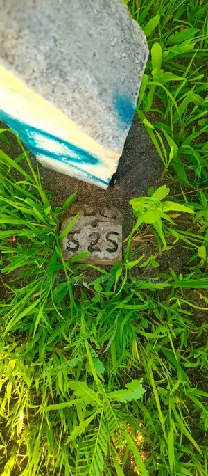 Land for Sale at Njedengwa Investment Dodoma