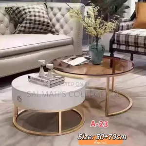 2 in 1 Coffees Table