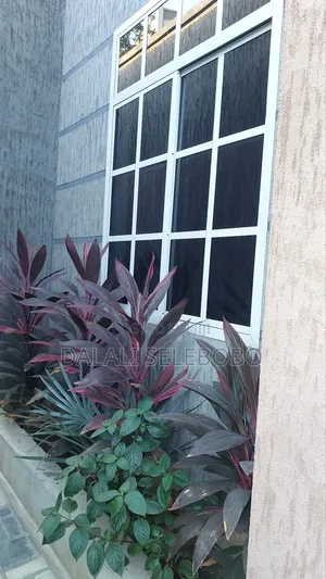 1bdrm Bedsitter in Mwenge Lufungira, Kinondoni for rent