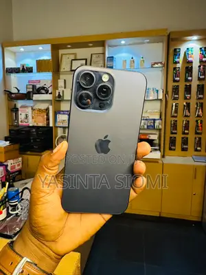 Apple iPhone 15 Pro Max 256 GB Gray