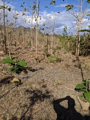 Shamba Linauzwa Kilosa Morogoro