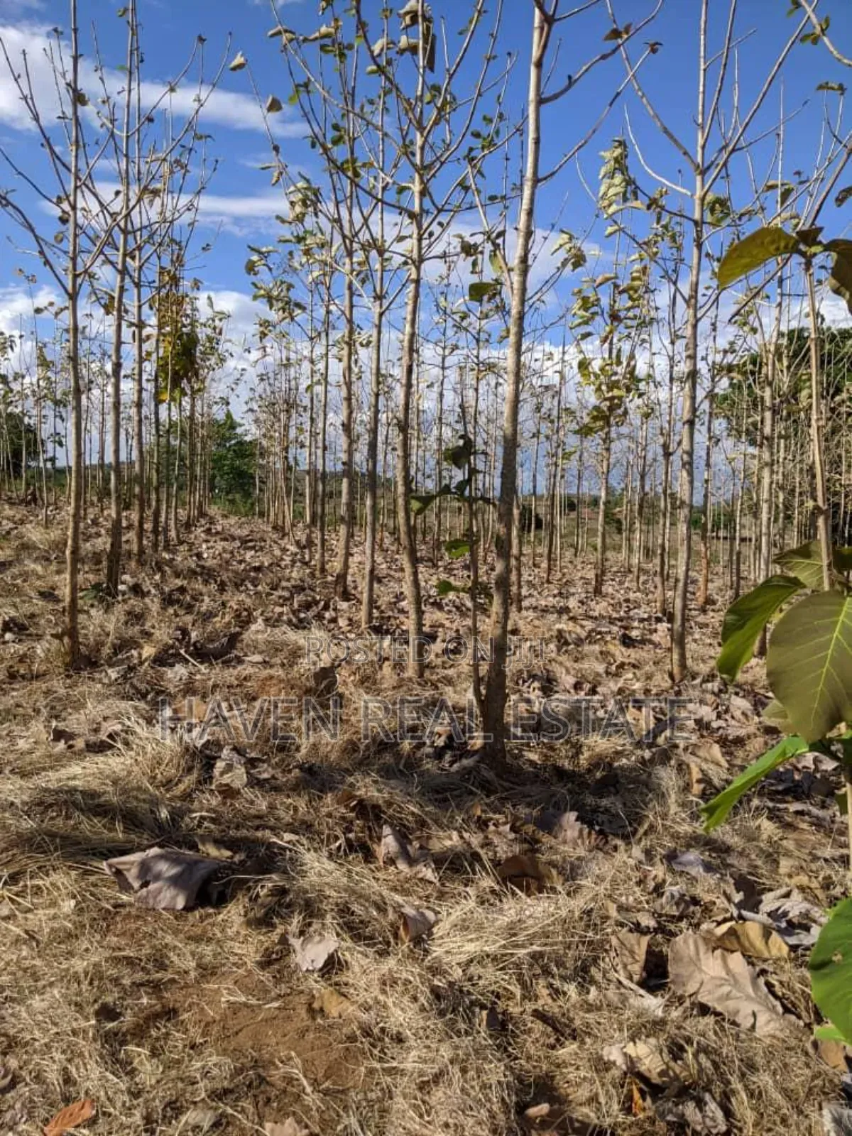 Shamba Linauzwa Kilosa Morogoro