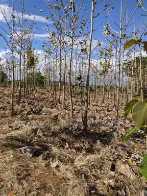 Shamba Linauzwa Kilosa Morogoro
