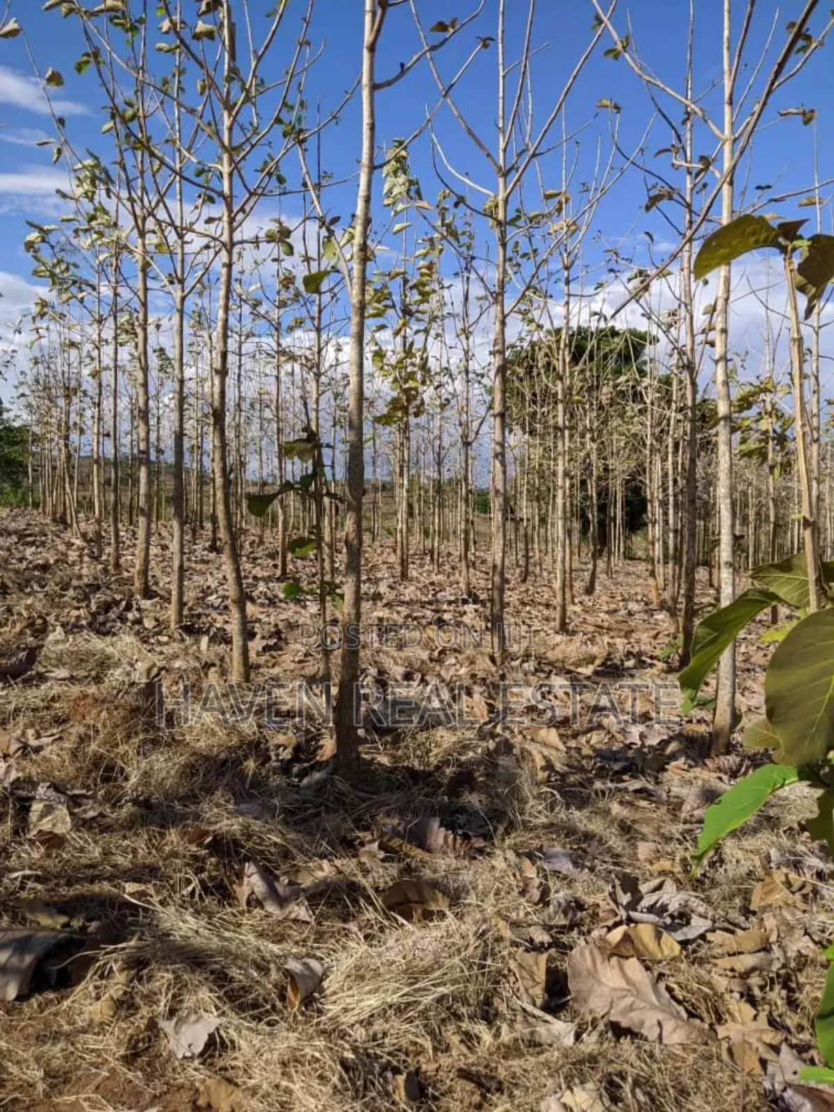 Shamba Linauzwa Kilosa Morogoro
