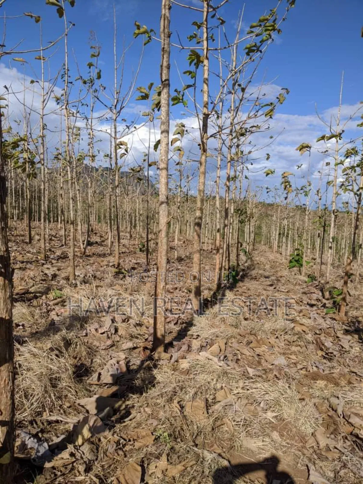 Shamba Linauzwa Kilosa Morogoro