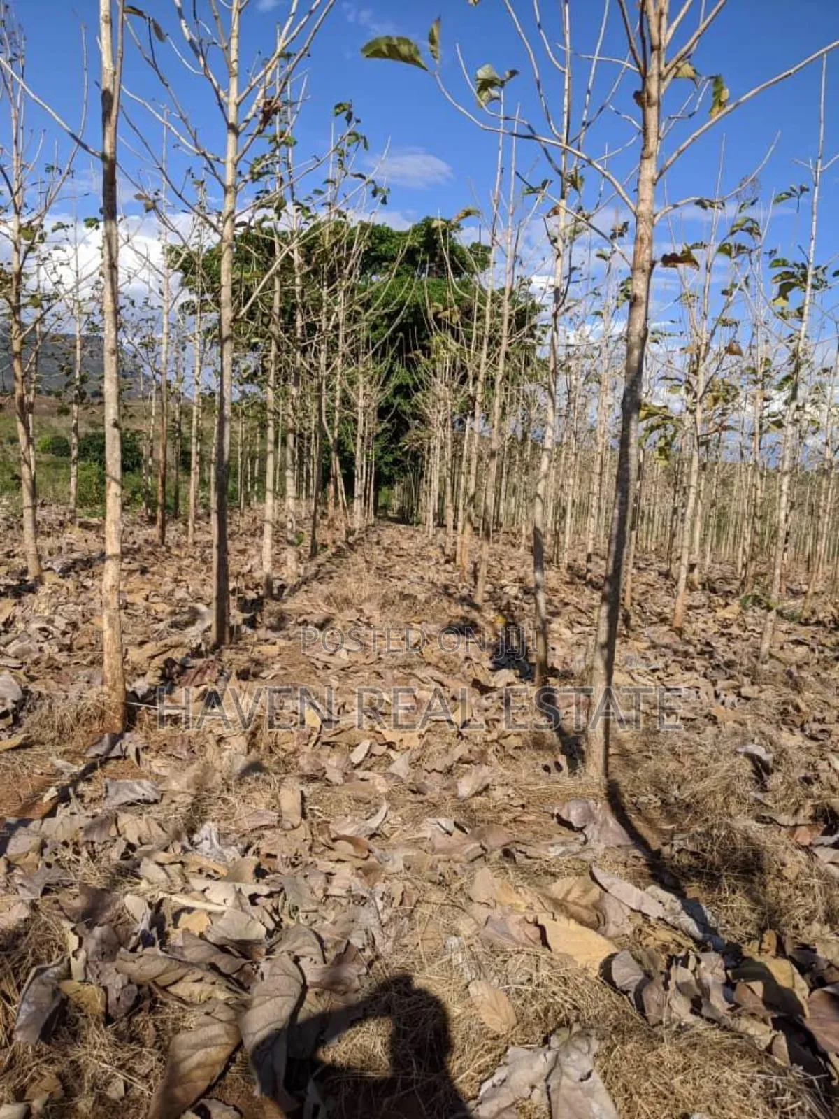 Shamba Linauzwa Kilosa Morogoro