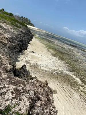 Amazing Beach Cliff Plot for Sale.