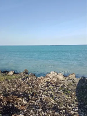 Amazing Beach Cliff Plot for Sale.