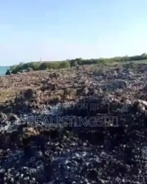 Makunduchi: 2.8 Acres Beach Plot - South Unguja, Zanzibar