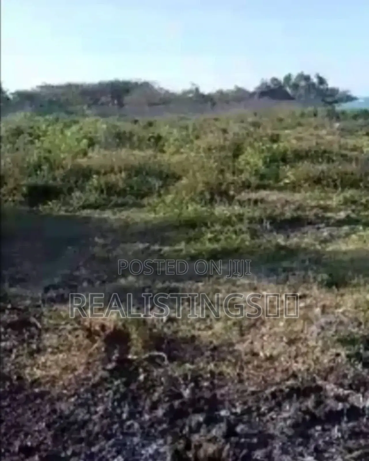 Makunduchi: 2.8 Acres Beach Plot - South Unguja, Zanzibar