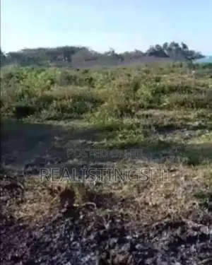 Makunduchi: 2.8 Acres Beach Plot - South Unguja, Zanzibar