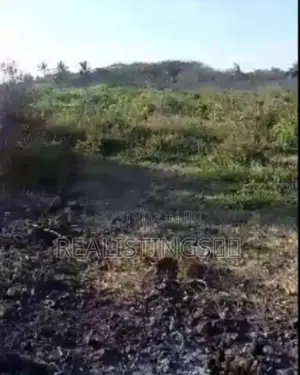 Makunduchi: 2.8 Acres Beach Plot - South Unguja, Zanzibar