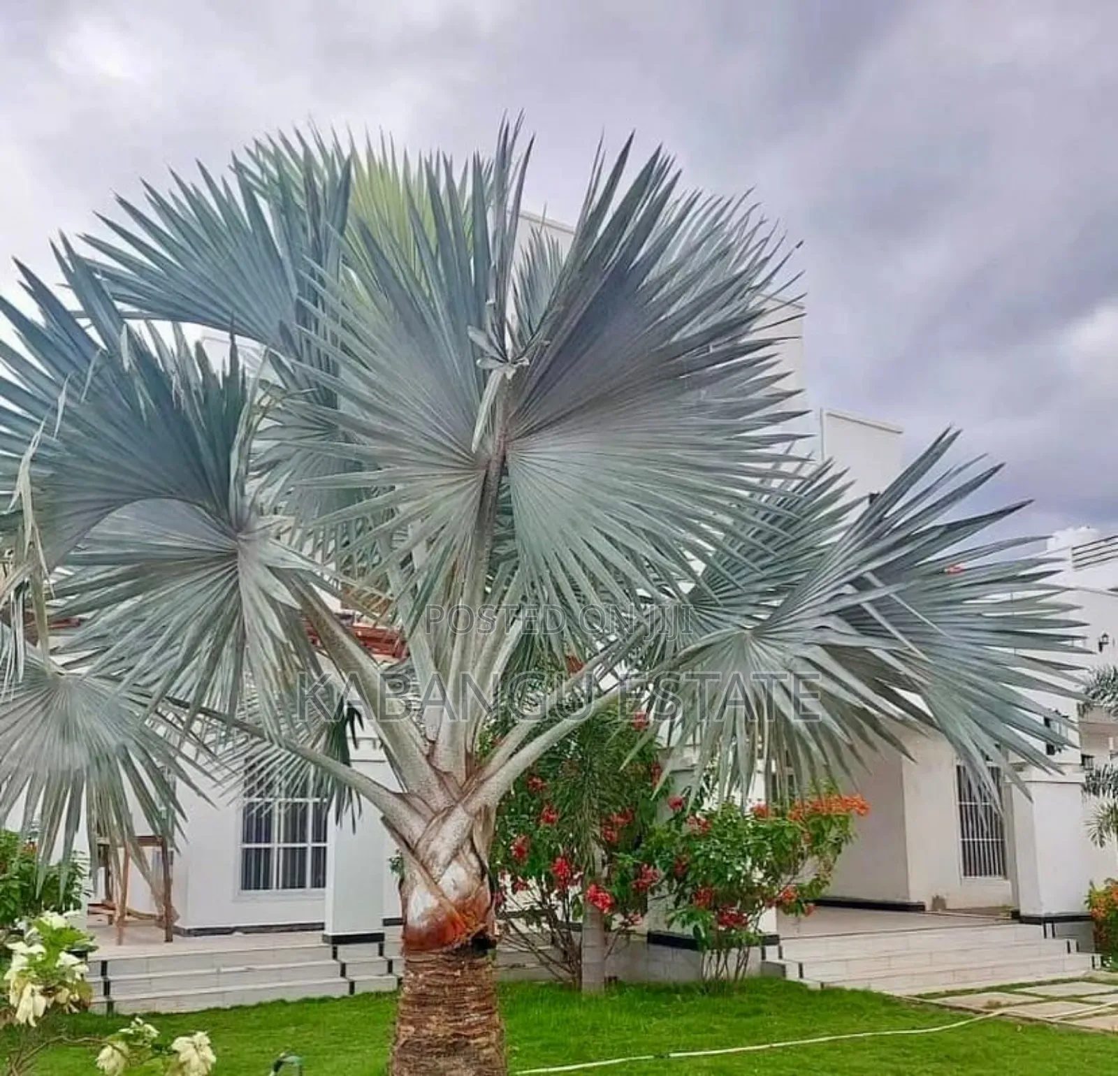 Furnished 4bdrm Villa in Mikocheni Beach for rent