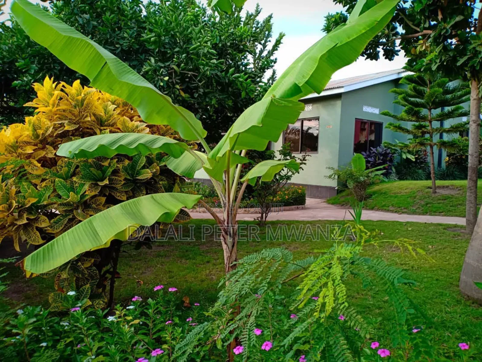 3bdrm House in Lumala, Ilemela for rent